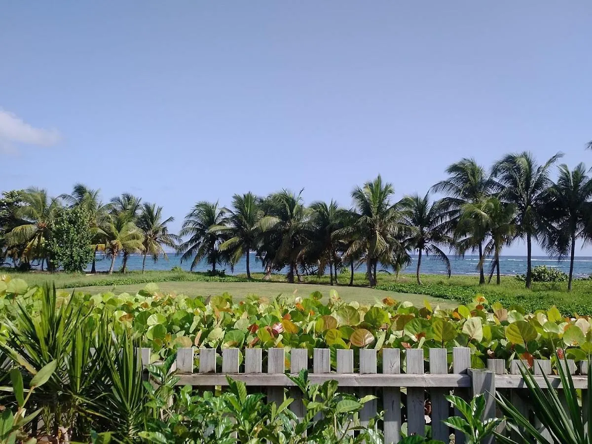 Bungalove Hotel Le Moule Guadeloupe